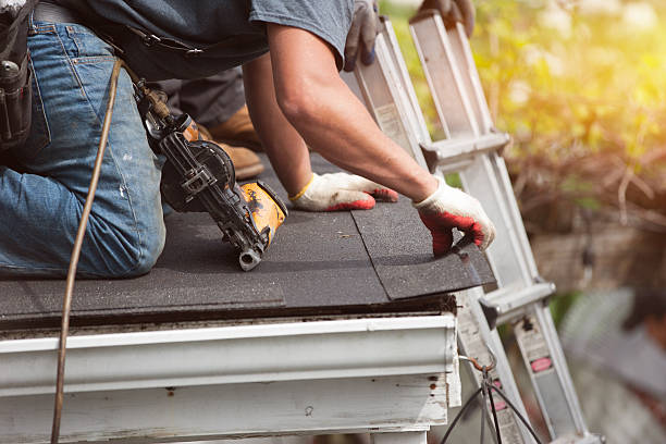 Best Roof Waterproofing Services  in St Johns, AZ